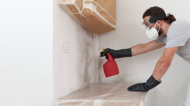 Professional Bathroom Mold Removal technician working in Columbus, NJ