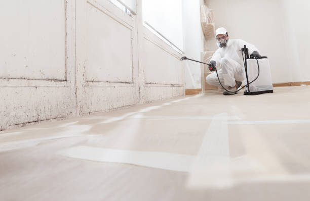 24/7 Emergency Bathroom Mold Removal experts in Columbus, NJ